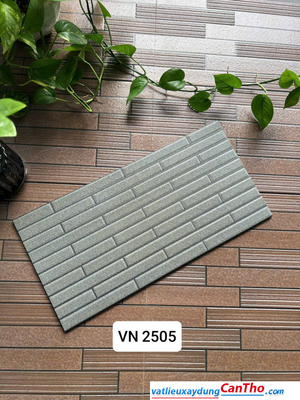 Việt Nhật VN 2505